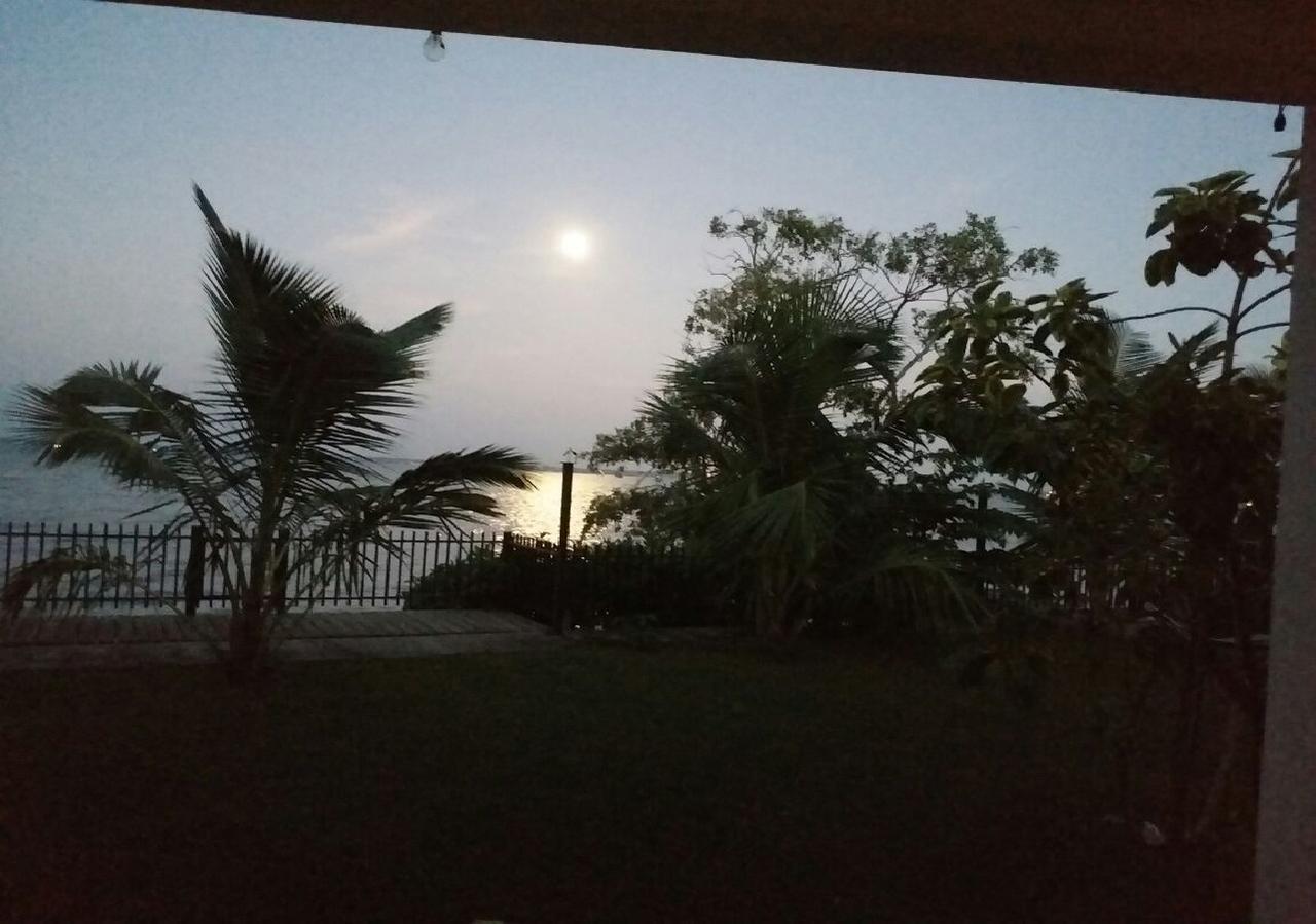 Negombo Holiday Home المظهر الخارجي الصورة
