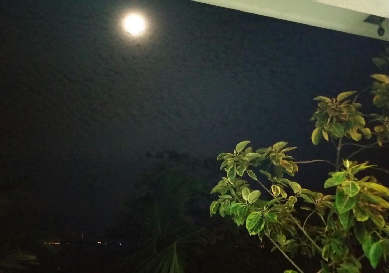 Negombo Holiday Home المظهر الخارجي الصورة
