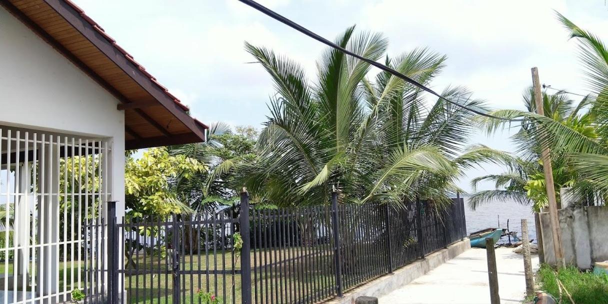 Negombo Holiday Home المظهر الخارجي الصورة